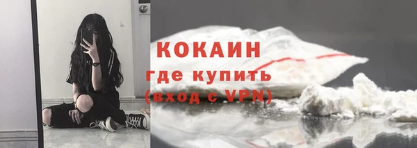 шишки Горно-Алтайск