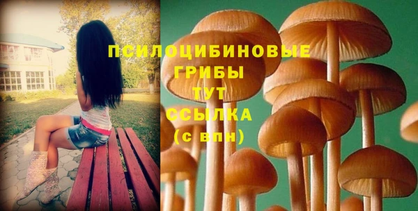 соль ск Волосово