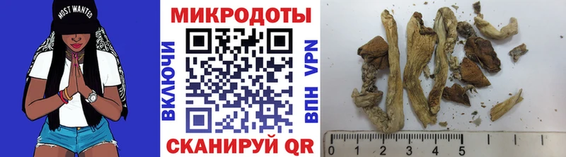 даркнет сайт  Балаково  дарк нет состав  Галлюциногенные грибы GOLDEN TEACHER 